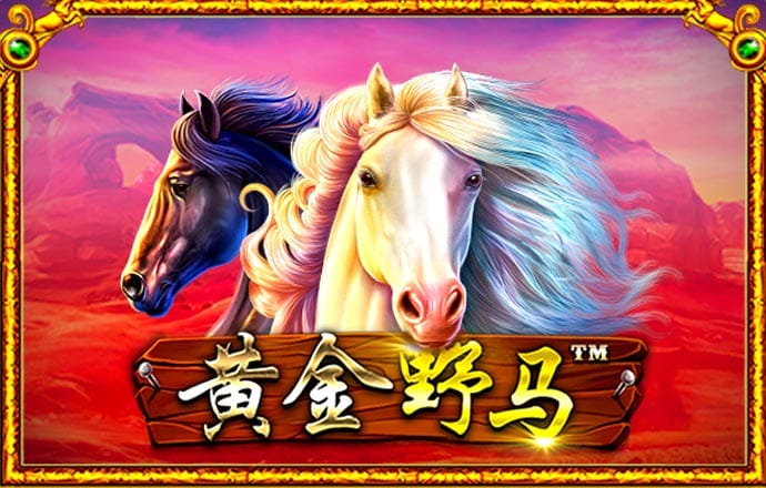 智博体育app官网入口